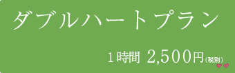 ダブルハートプラン　1時間2,500円